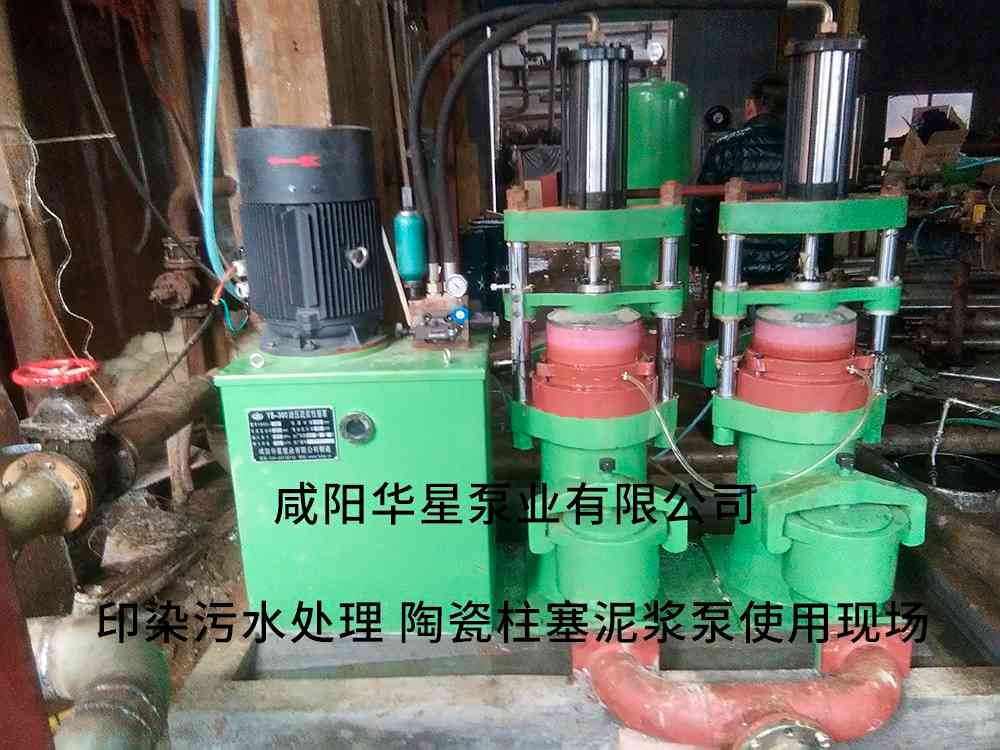 印染廠使用YBH300立式柱塞泵客戶現場